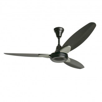 Rapid Senorita Black12